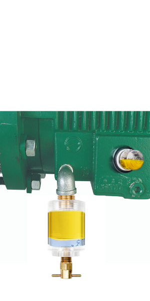 Esco Hex-Duty Oil Sight Glass | 1 oz, 1/4" NPT - HEX1X250