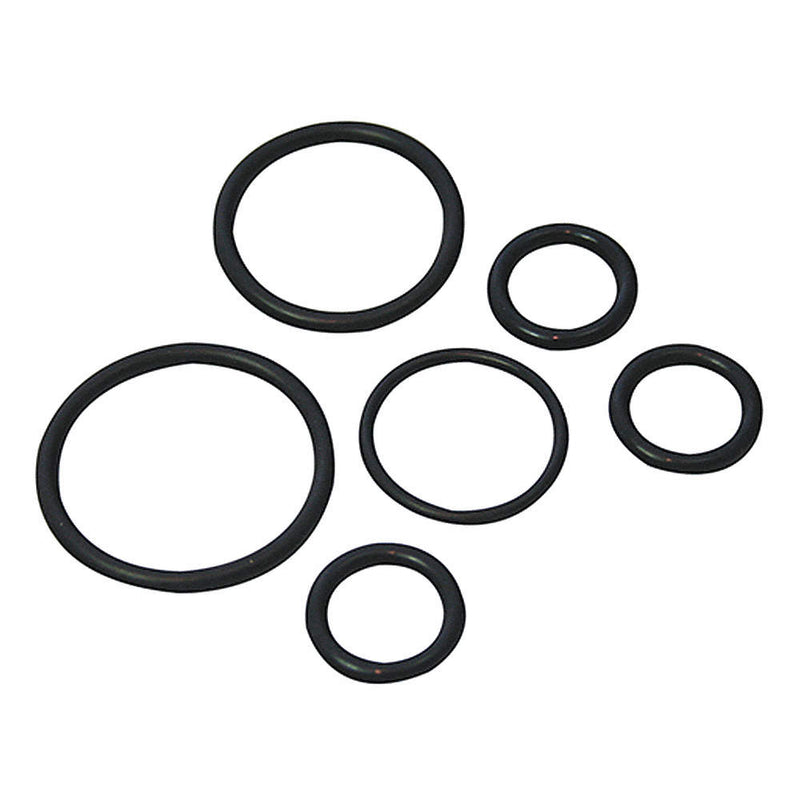 OilSafe Premium Pump O-ring Kit Viton - 920007 - RelaWorks
